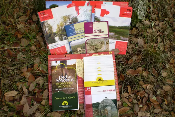 Divulgación ambiental