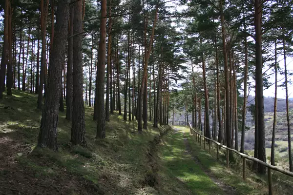 Adecuaciones ambientales