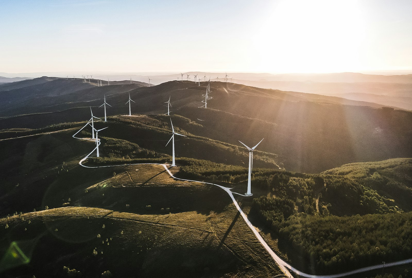 Aerogeneradores en un campo verde
