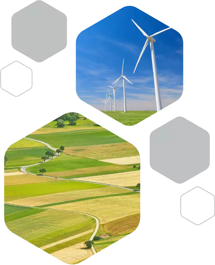 Albera Medio Ambiente_hexágonos