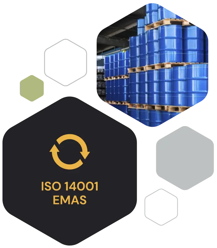 Prevención y gestión ambiental_hexágonos