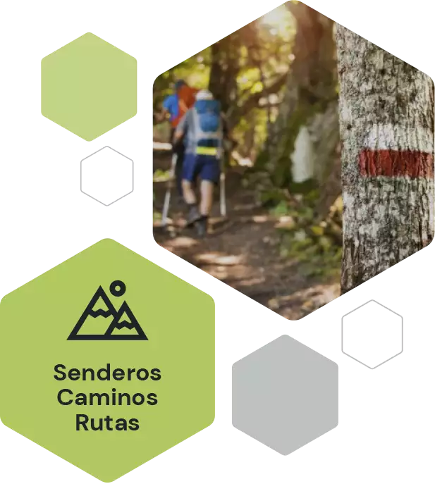 Uso público y divulgación ambiental_hexágonos