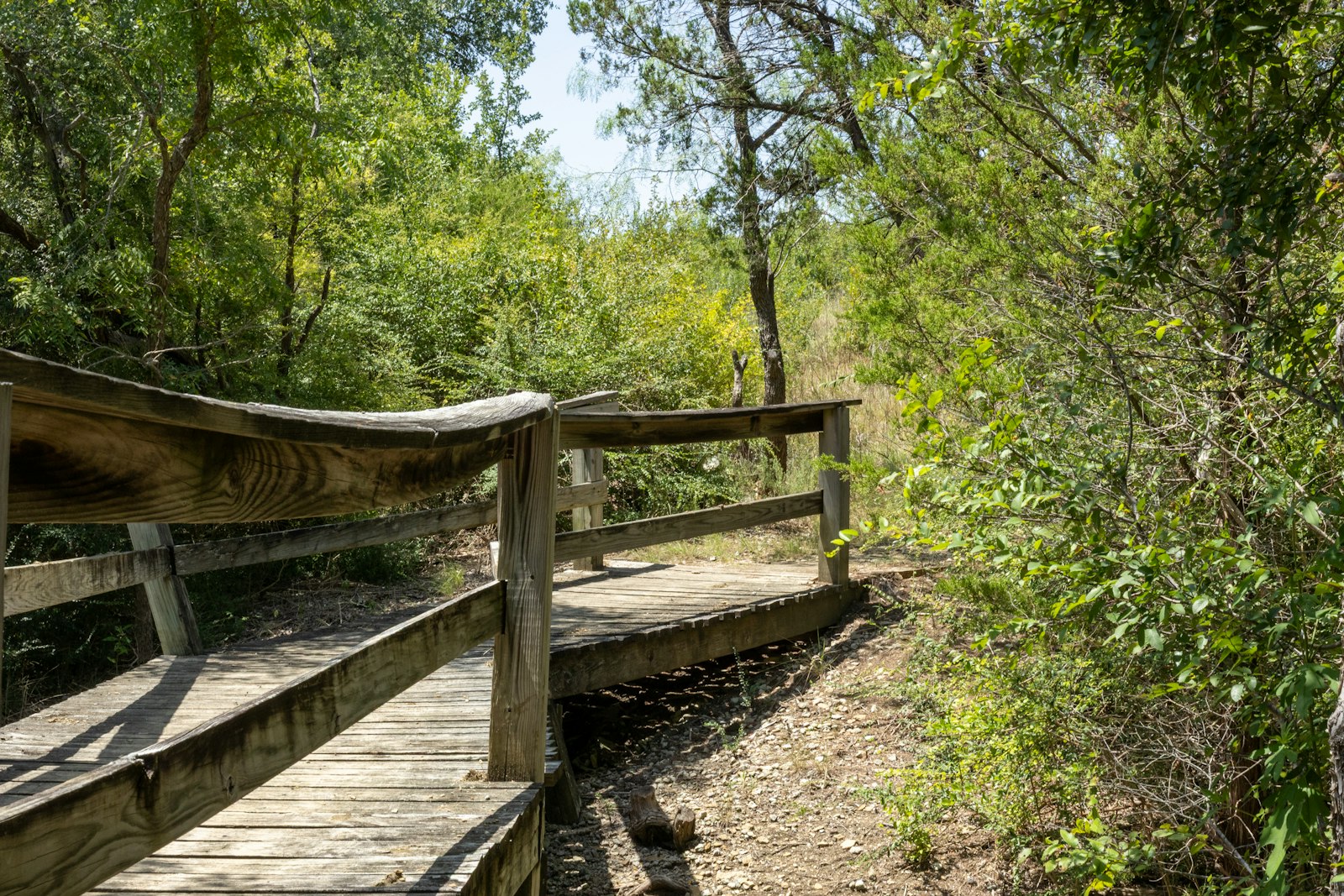Pasarela de madera en un bosque