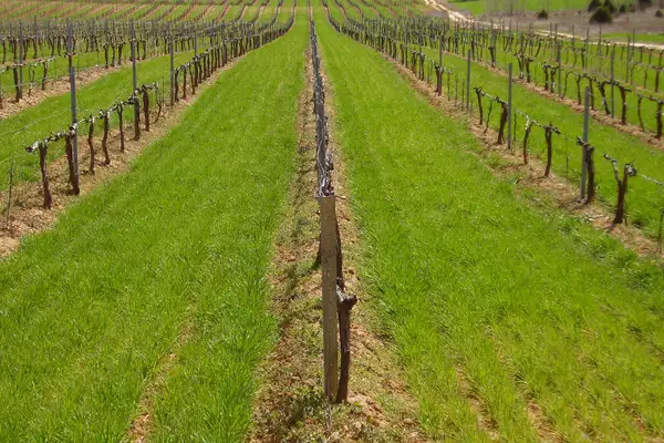 Valoraciones y peritaciones